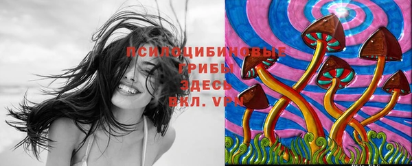 mix Протвино