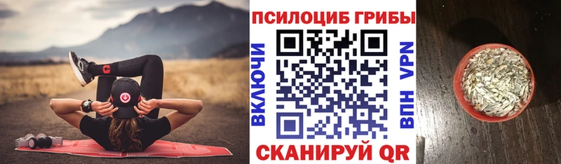 omg tor  Богородск  Галлюциногенные грибы MAGIC MUSHROOMS 